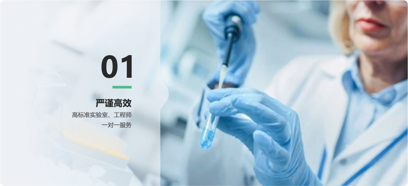 中-优势1