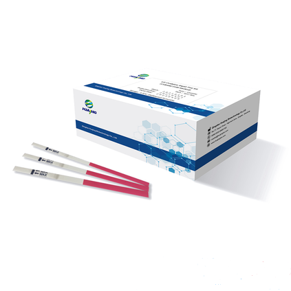 Lh / Ovulation Rapid Test