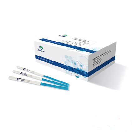 Lh / Ovulation Rapid Test